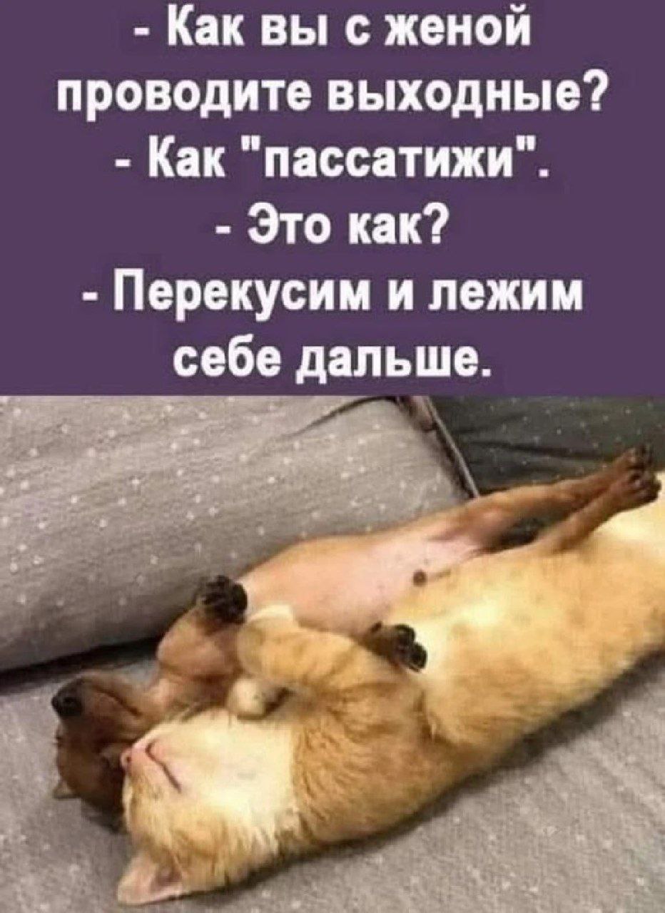 😂.