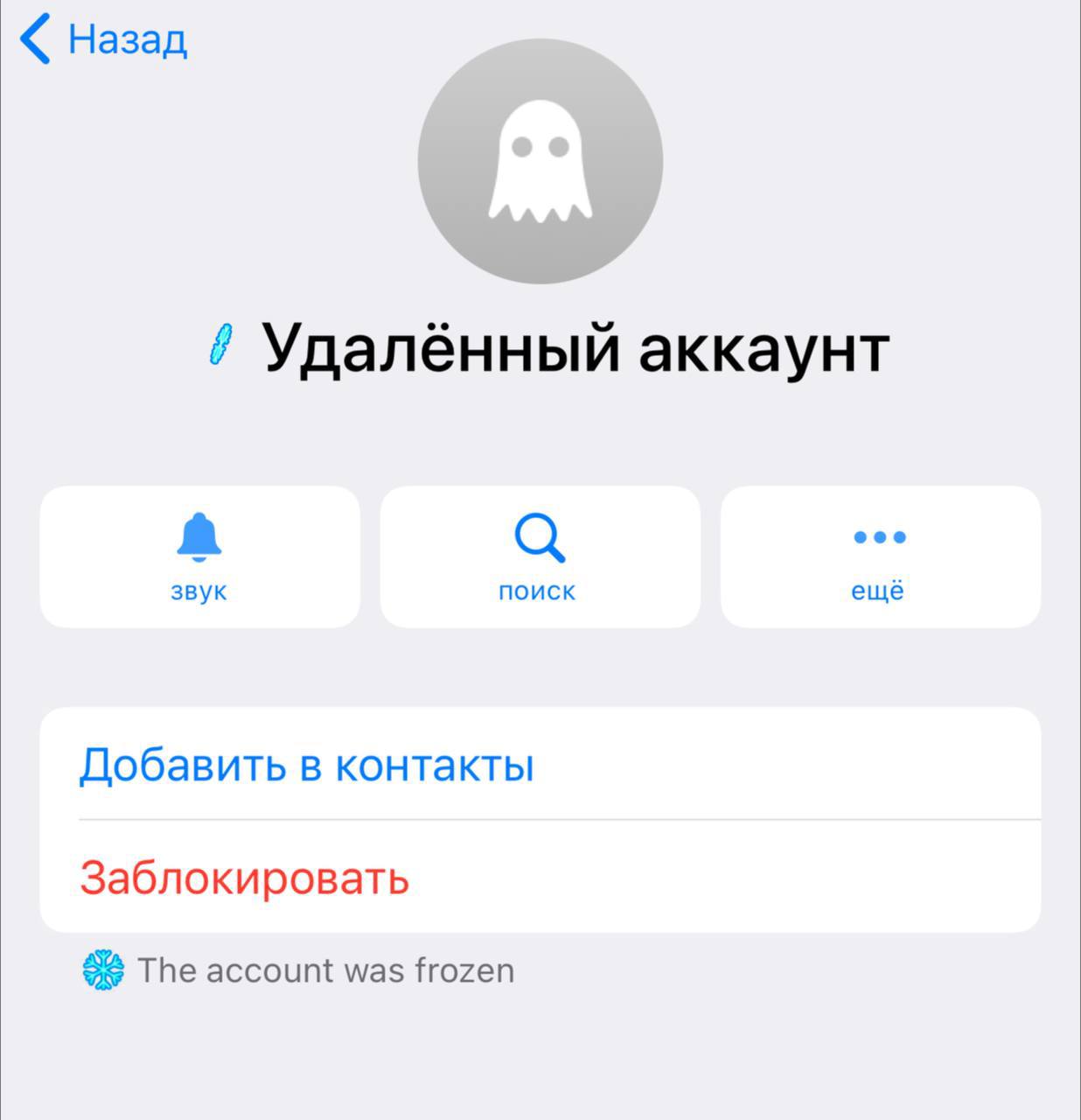 Телеграмм Аккаунты Шлюх