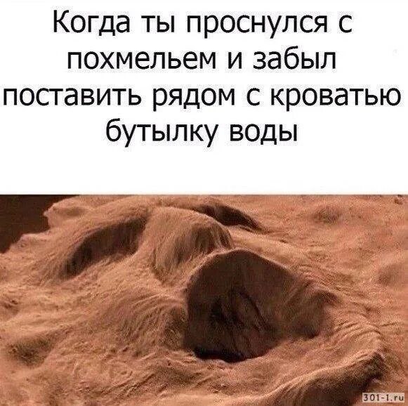 Однажды после бурной пьянки с похмелья